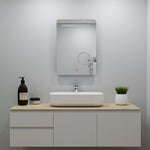 Ocean Miroir salle de bain LED avec éclairag + miroir mural cosmétique lumineux + anti-buée + miroir grossissant + Vertical 50*70cm